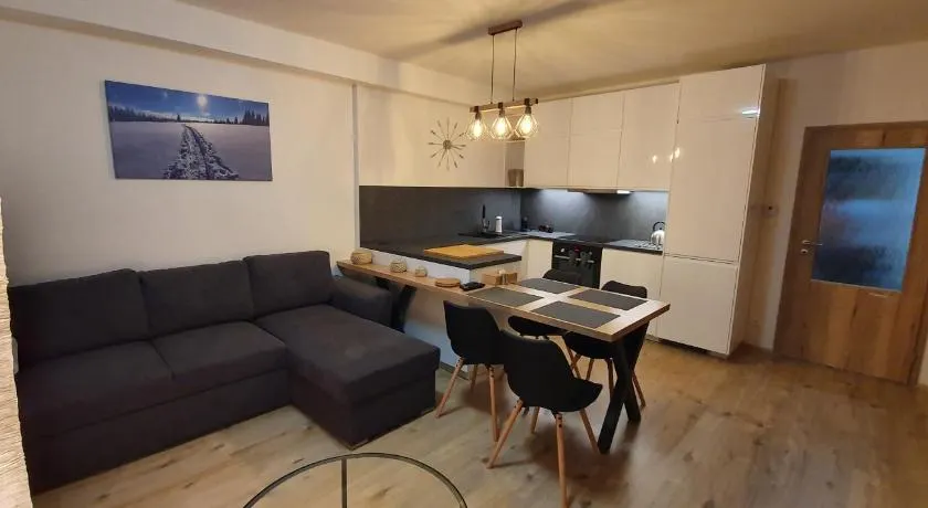 Apartmán Nerudovka D 104, Finská sauna, garážové stání - Image 1