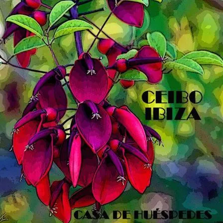 Ceibo Ibiza - Guest House - Image 1