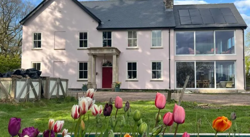 The Pink House - Image 1