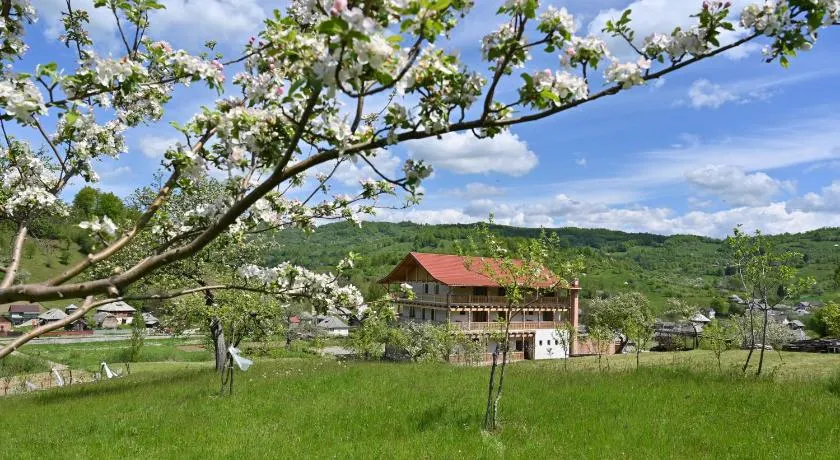 PENSIUNEA PLAI STRABUN - Image 1
