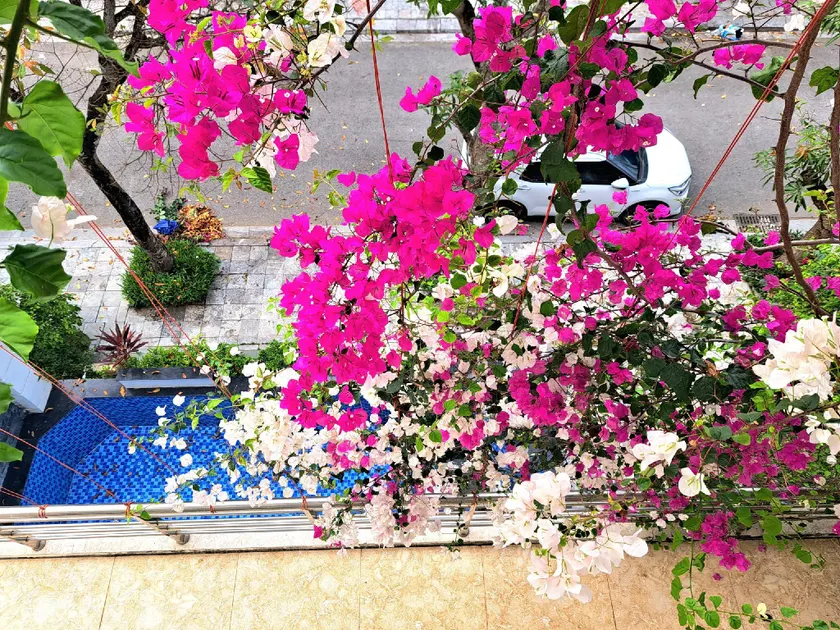 Villa FLC Sầm Sơn Mới Nhất - Image 1
