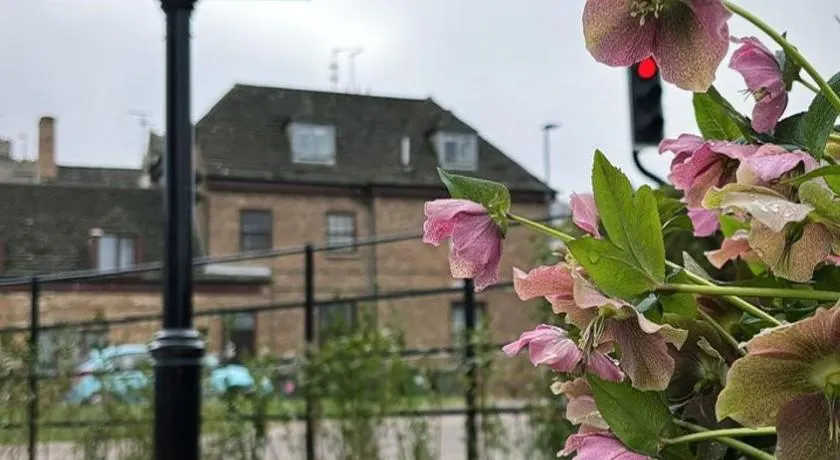 The Rose And Crown - Image 1