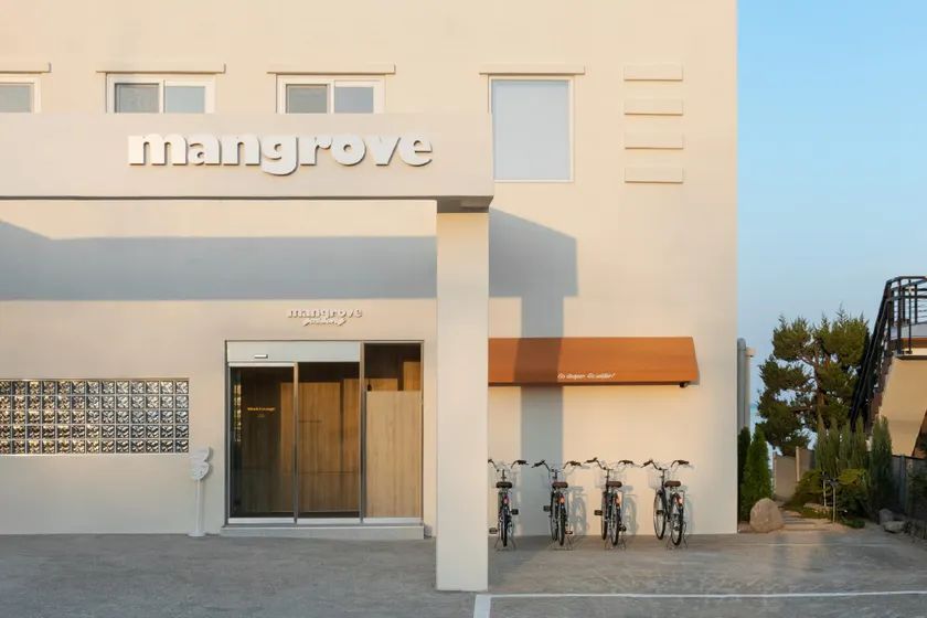 Mangrove Goseong - Image 1