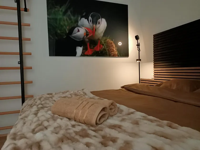 Puffin NEST, Superior Apartment - Image 1