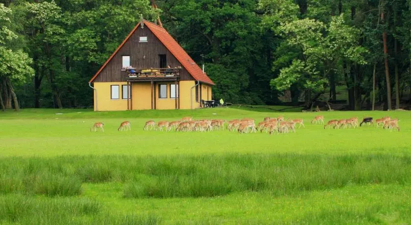 Wildpark Johannismühle - Image 1