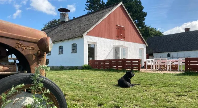 Dambækgaard Sustainable Farm - Image 1