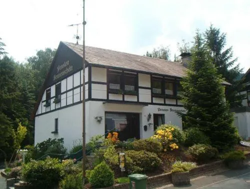 Pension Sonnenschein - Image 1