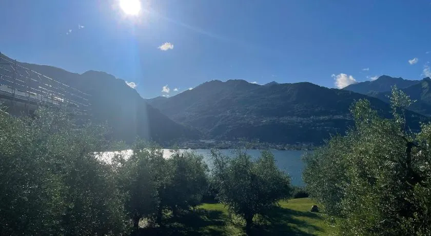 Lario Panorama - Image 1