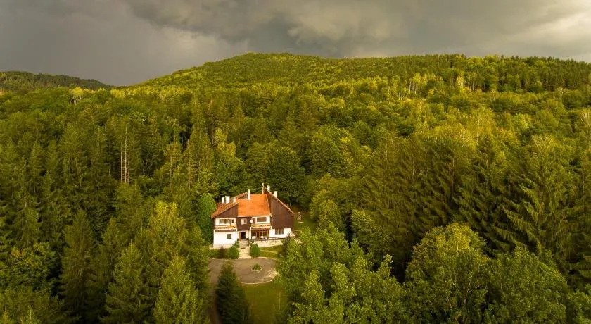 Kormos Residence - Image 1