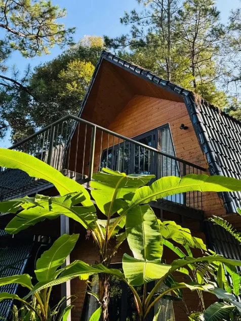 T'MĂNG ĐEENG HOMESTAY - Image 1