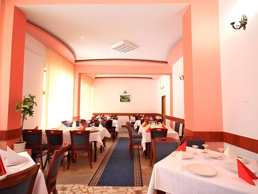 Hotel Bradul - Image 1