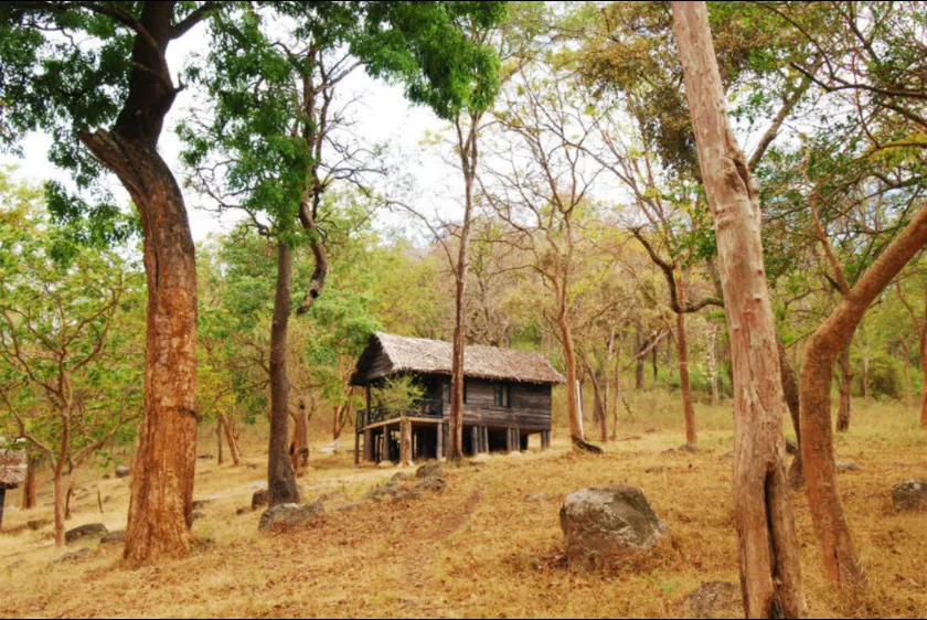 K Gudi Wilderness Camp-Jungle Lodges - Image 1