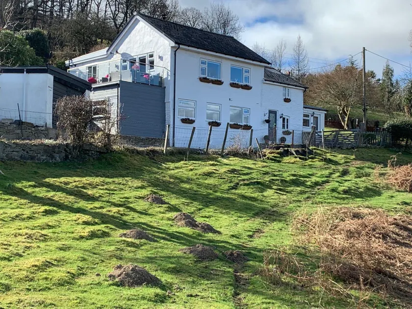 BroomBush - Image 1