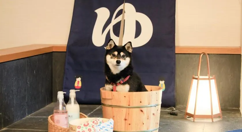 Yururi Nishiizu - Image 1