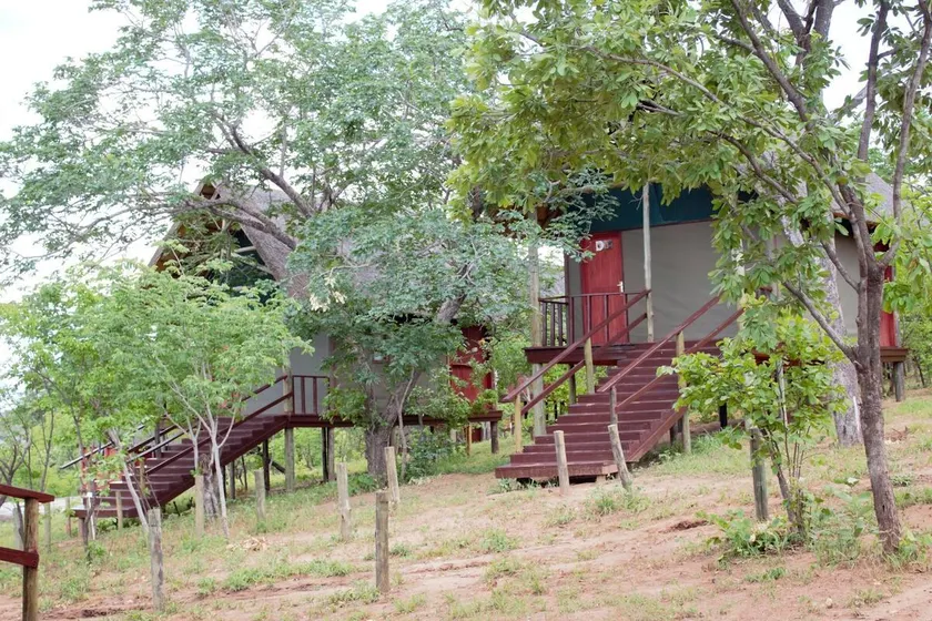 Lion Roars Lodge - Image 1
