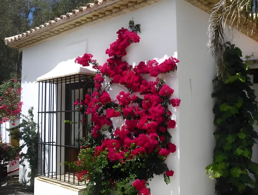 Cortijo Los Monteros - Image 1