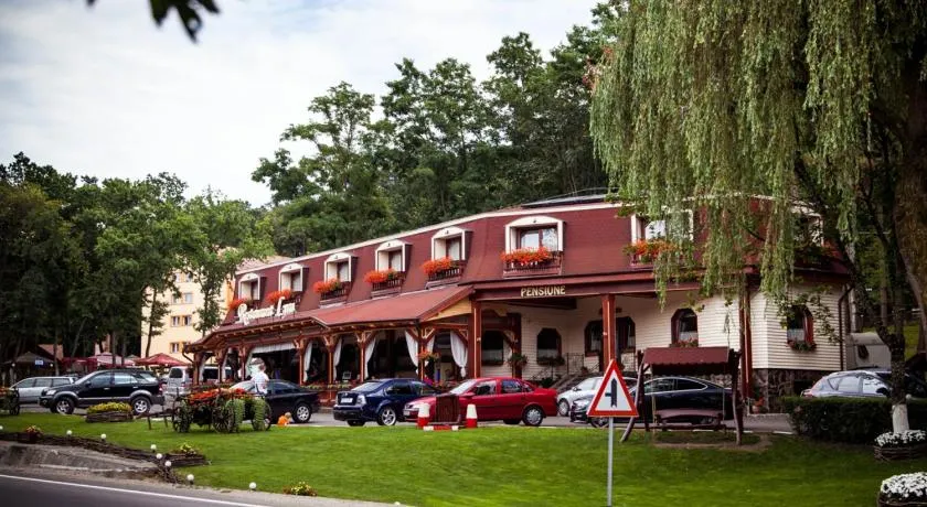 Pensiune Restaurant Lyra - Image 1