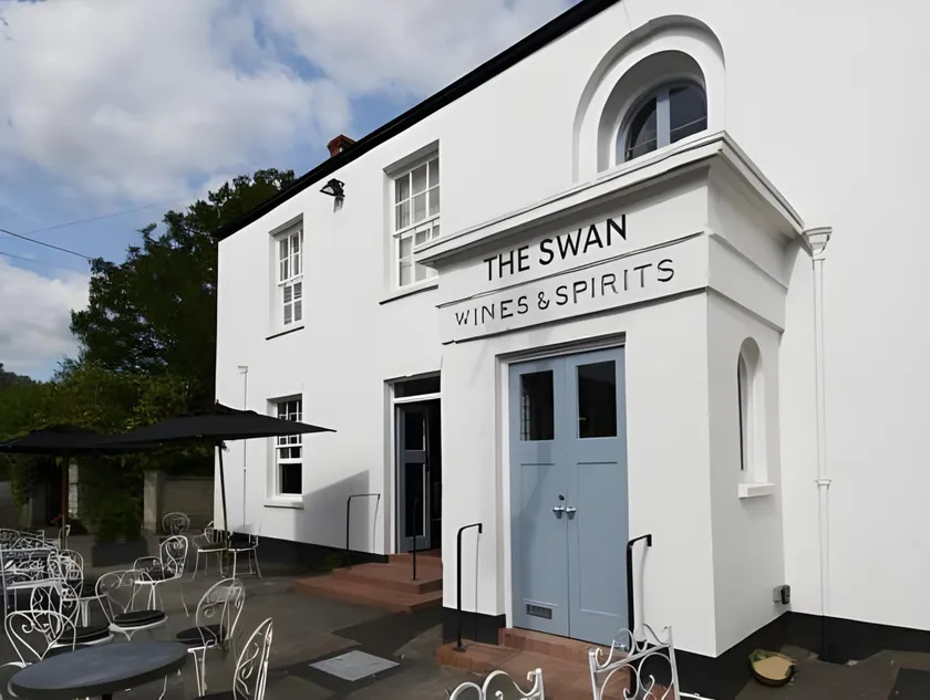 The Swan - Image 1