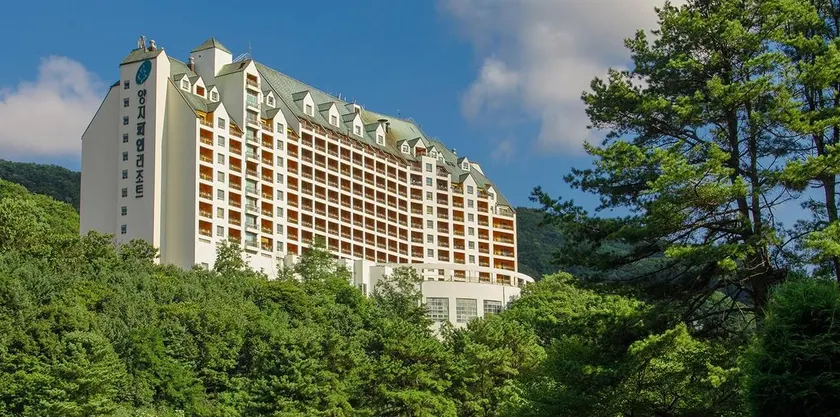 Yangji Pine Resort - Image 1