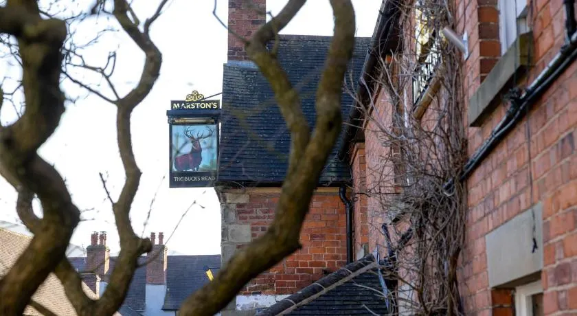 The bucks head - Image 1