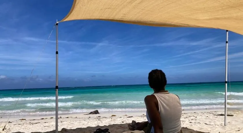 Beachside calm, Footsteps to the sand and sea - Image 1