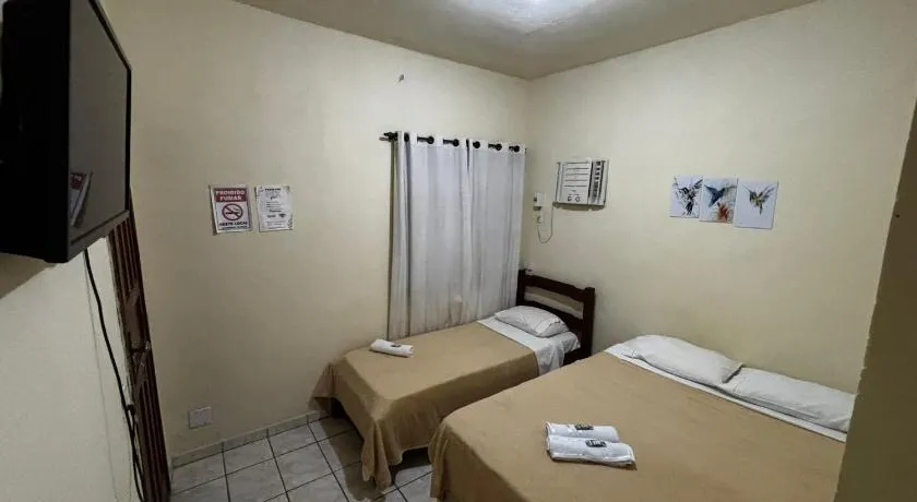 Encanto do Beija-flor - Image 1