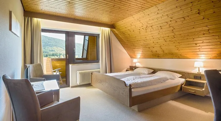 Drei Tannen - Wohnung 11 - Apartmenthaus, Titisee, Feldberg - Image 1
