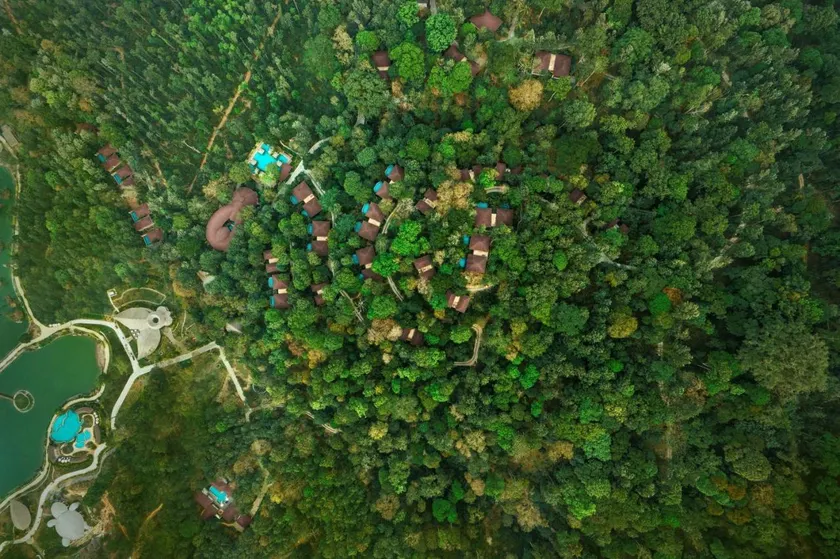 The Leela Coorg Forest Sanctuary - Image 1