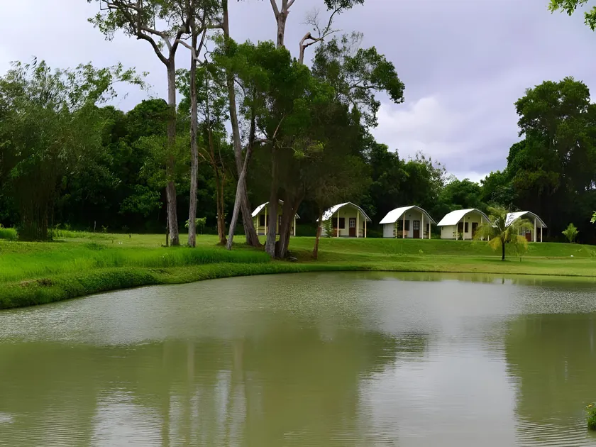 Phuket Campground - Image 1