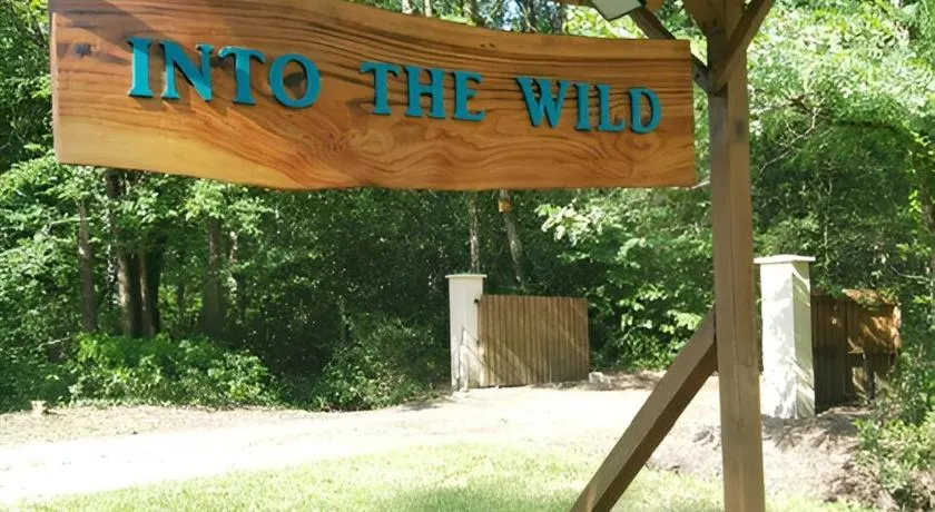 INTO THE WILD - Nos 5 logements "Atypiques" - Image 1