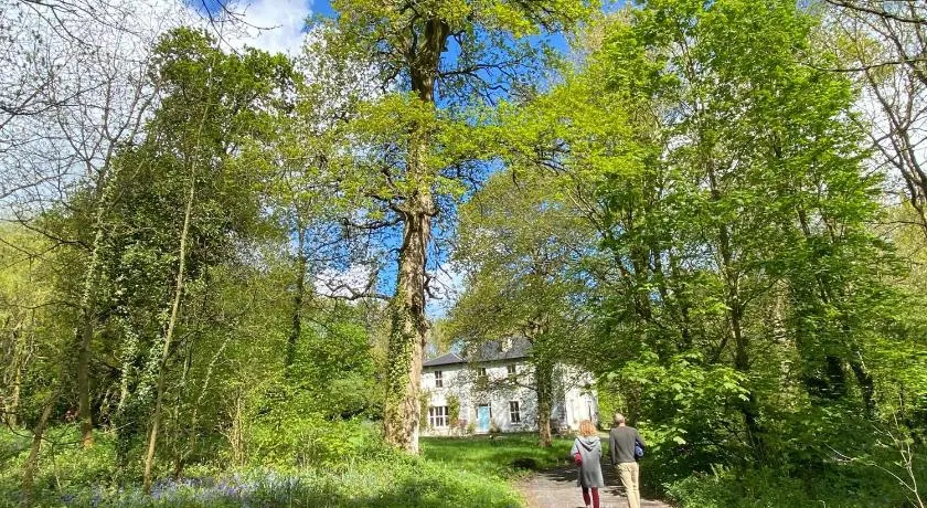 Blackhill Woods Retreat - Image 1