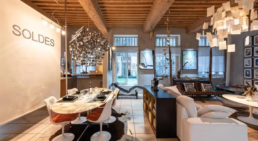 Art et Soie - Appt d'exception avec terrasse - Croix Rousse - Image 1