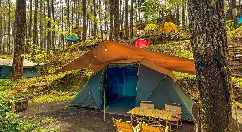 Finest Camp - Image 1