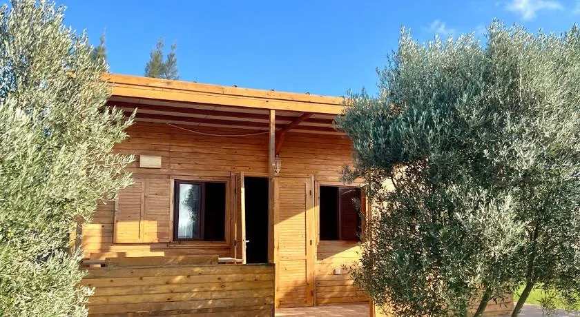 Ecolodge Vert, Benslimane - Image 1