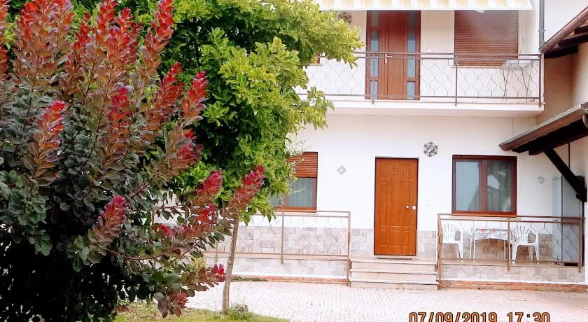 5 Palme - Image 1