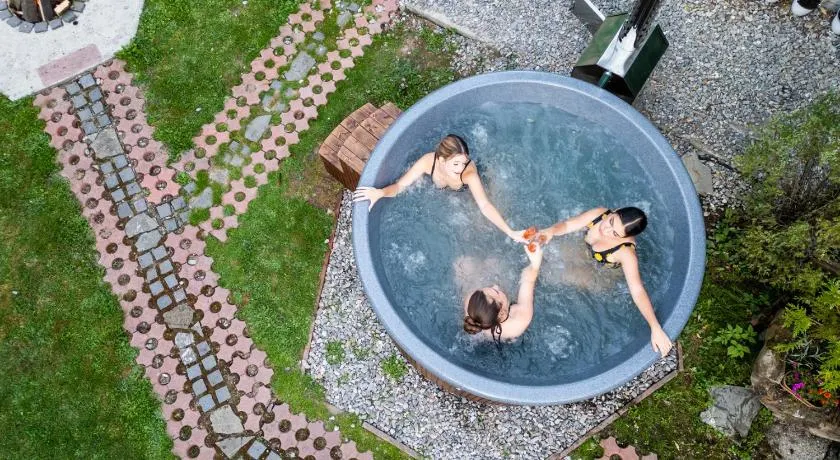 Pensiunea Dapa Ciubar & Sauna - Image 1