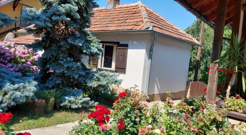 Apartman Nebojša - Image 1