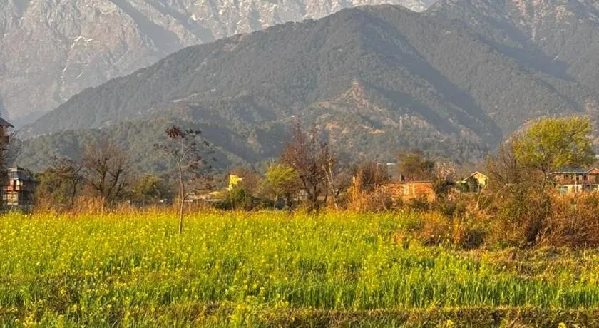 Kahani Cottages Palampur - Image 1