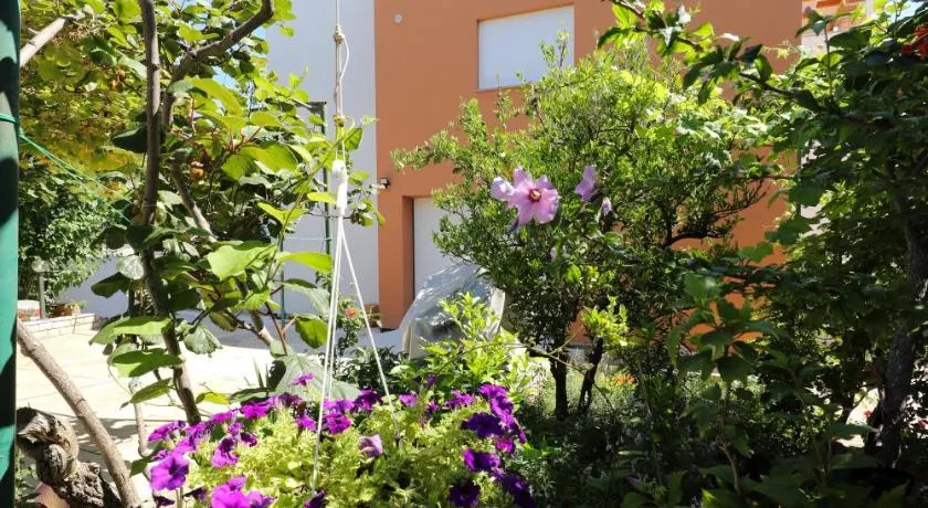 Apartments Ivanov - Image 1