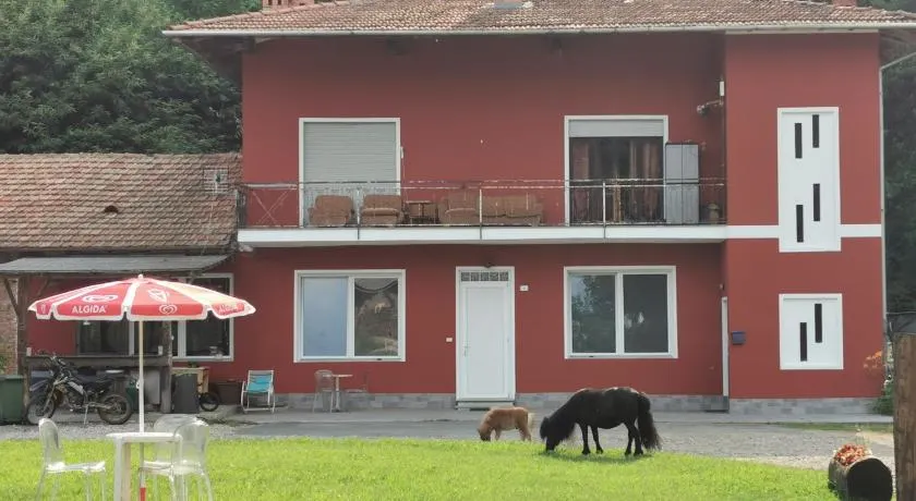 The Horse - Image 1