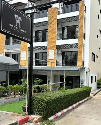Stay White Orchid - Image 1