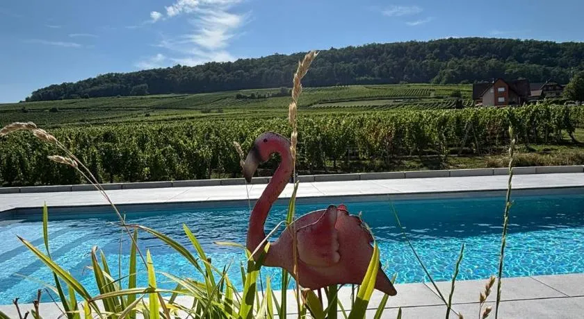 Domaine Wagenbourg Bickel proche de Colmar - Image 1