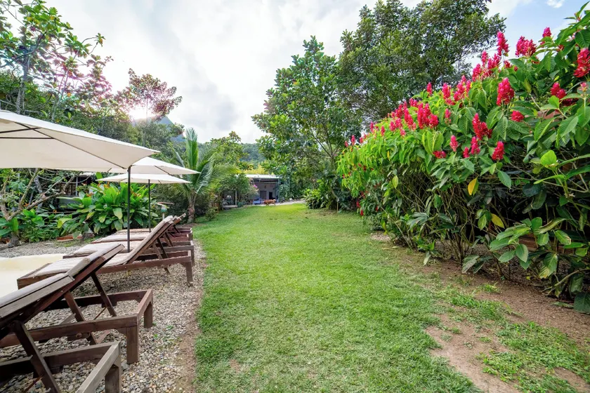 Ecolodge Raíces - Image 1