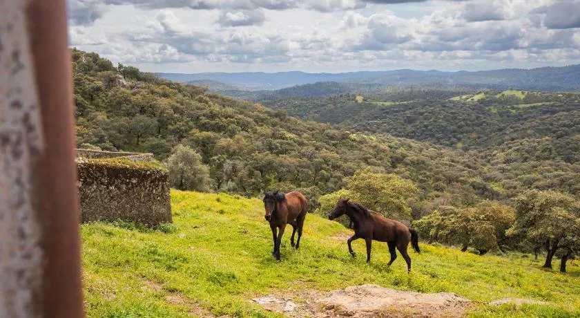 Finca la Arborea - Image 1