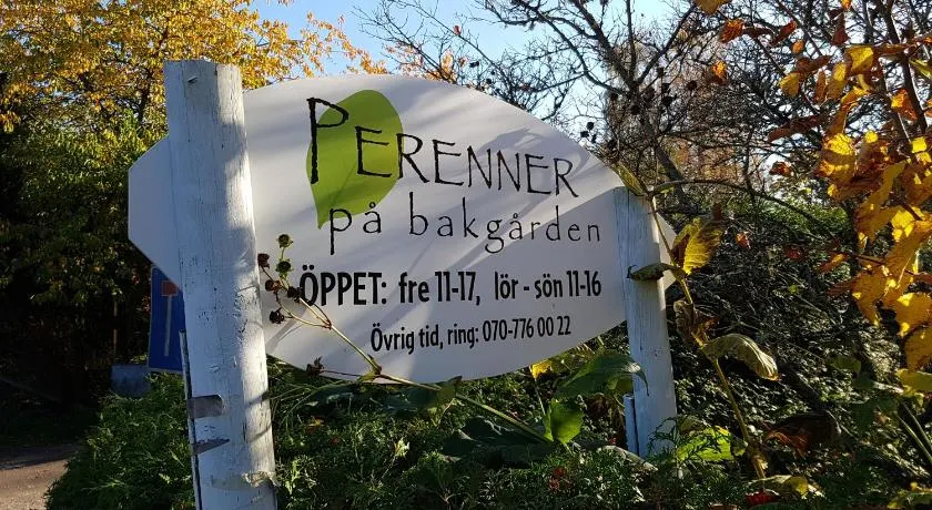 Perenner på bakgården - Image 1