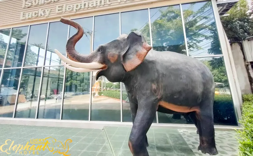 Lucky Elephant Hotel - Image 1