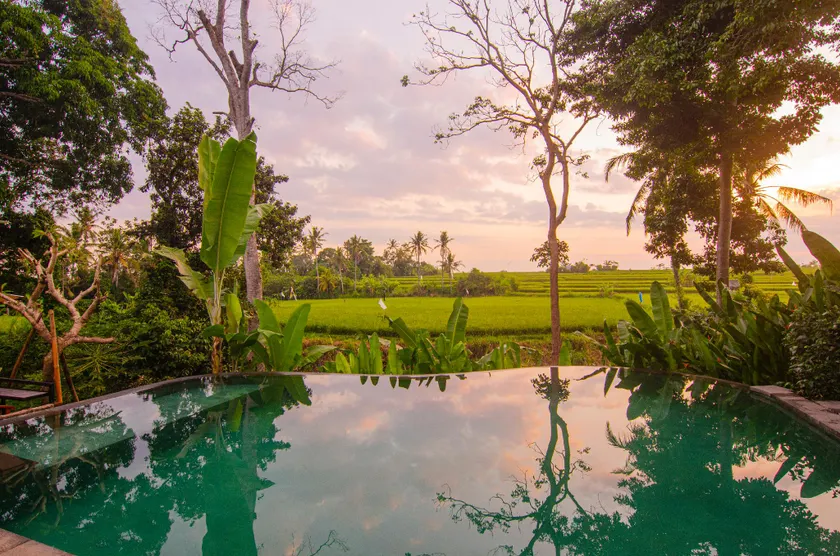 Ubud Manyar 3bedroom villa private pool - Image 1