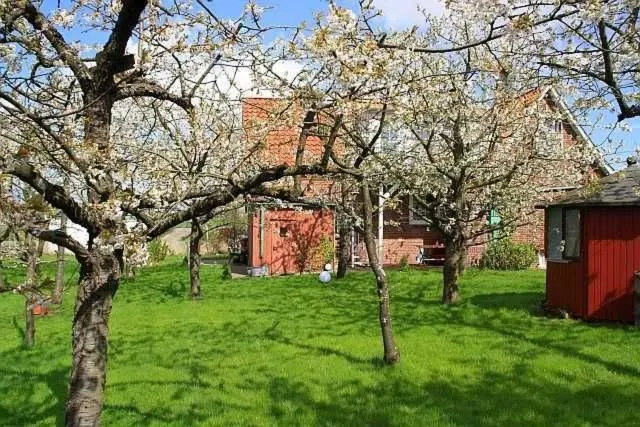 Knubberhaus Das Ferienhaus im Kirs - Image 1
