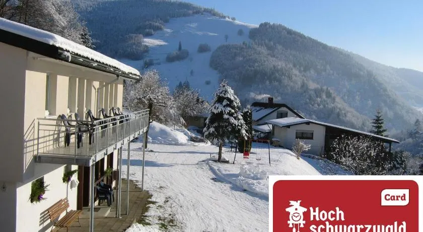 Steiert Panorama Apartments Todtnau - Image 1