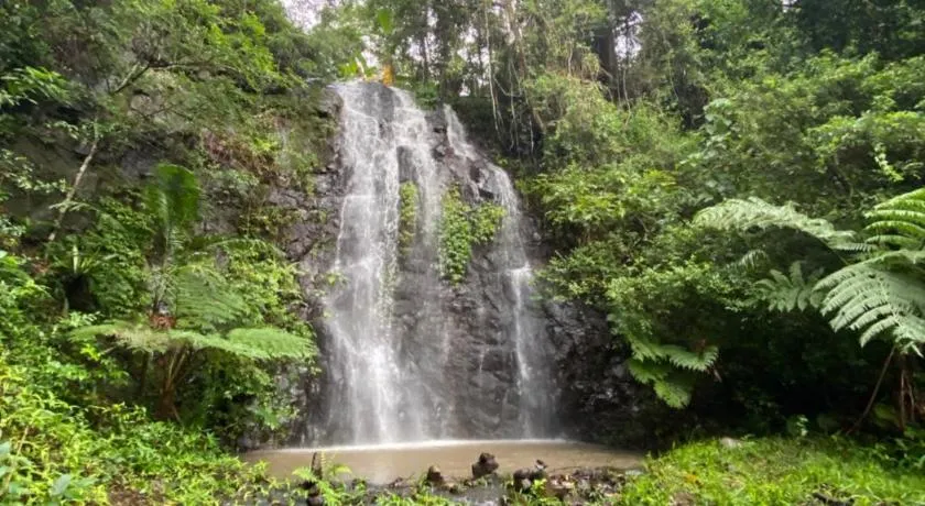 Nimbin waterfall retreat - Image 1